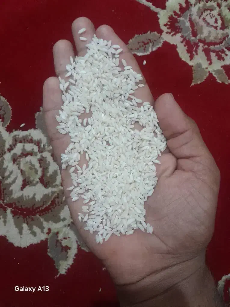 برنج|خوردنی و آشامیدنی|شوشتر, |دیوار