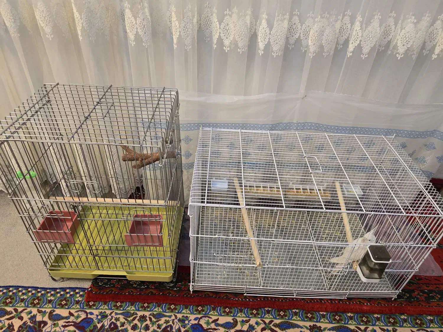 قفس|لوازم جانبی حیوانات|شیراز, شهرک قمشه|دیوار