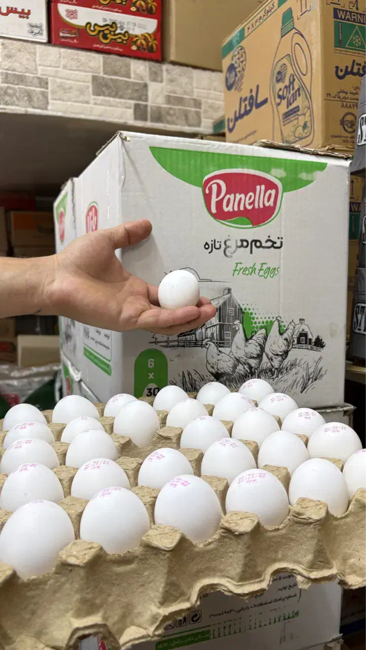 تخم مرغ دُرشت پانلا پخش ژیان پور|خوردنی و آشامیدنی|شوشتر, |دیوار