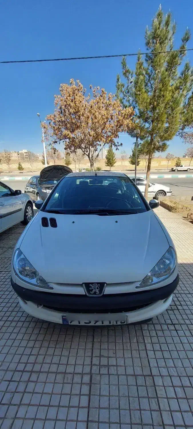 206 sd مدل ۱۳۹۲|خودرو سواری و وانت|کرمان, |دیوار