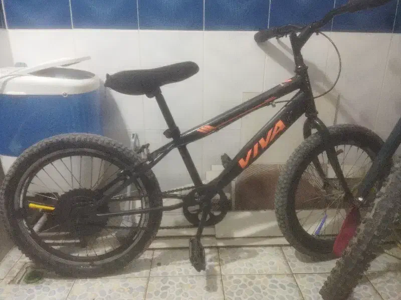 دچرخه|دوچرخه، اسکیت، اسکوتر|گنبد کاووس, |دیوار