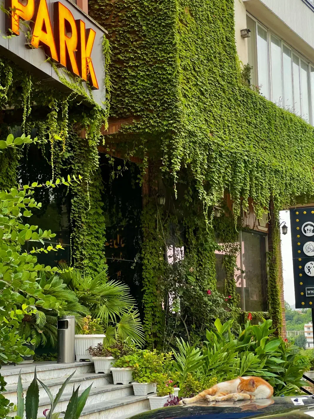 استخدام خدماتی در هتل شمال(با خوابگاه و۳وعده غذا)|استخدام سرایداری و نظافت|رامسر, |دیوار