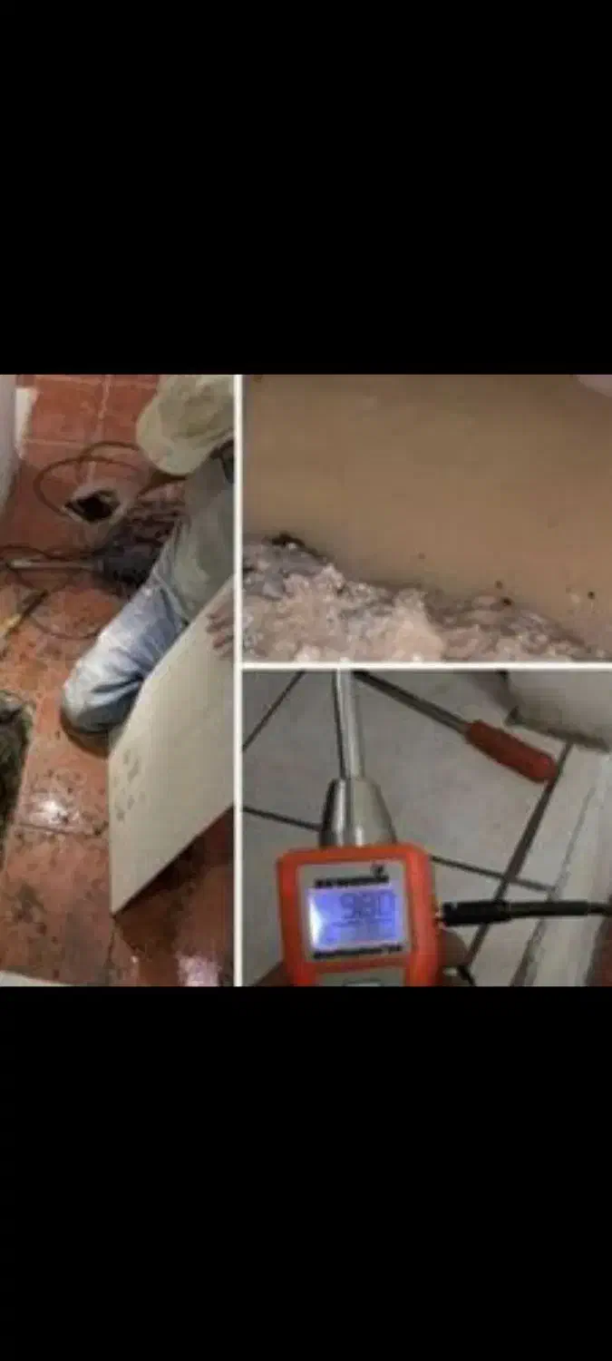 تشخیص نم لوله بازکنی فشافوی|خدمات پیشه و مهارت|فشاپویه, |دیوار