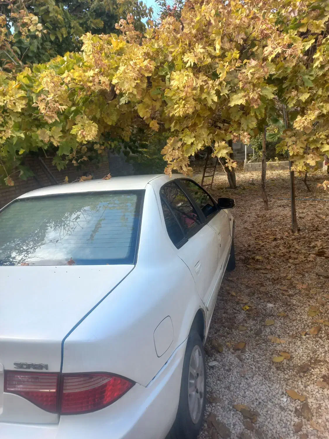 سمند سورن مدل 87|خودرو سواری و وانت|شیراز, نصرآباد|دیوار