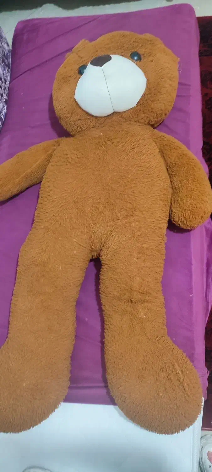 تدی بزرگ|اسباب‌بازی بچه|رباط‌کریم, رباط‌کریم|دیوار