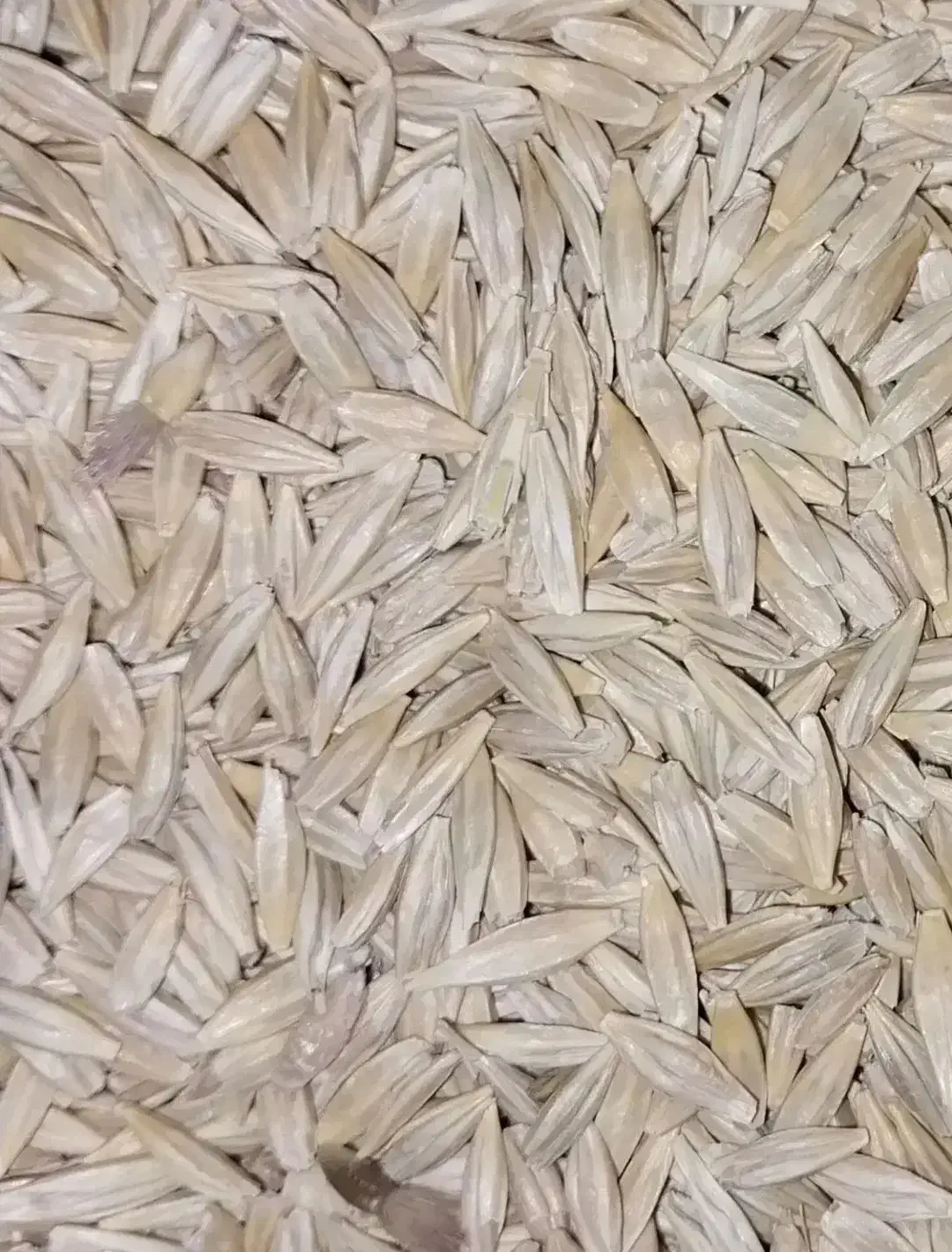 جو سرارود و محلی|خدمات باغبانی و درختکاری|ماهیدشت, |دیوار