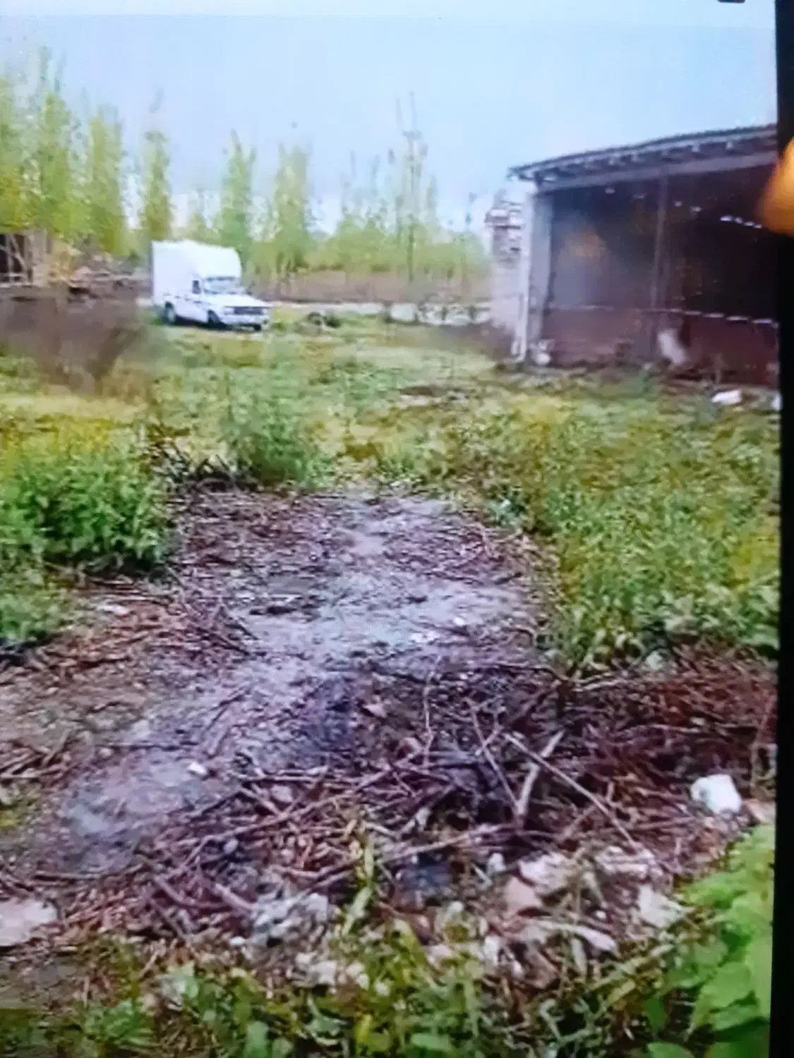 گاو داری|فروش خانه و ویلا|پیربازار, |دیوار