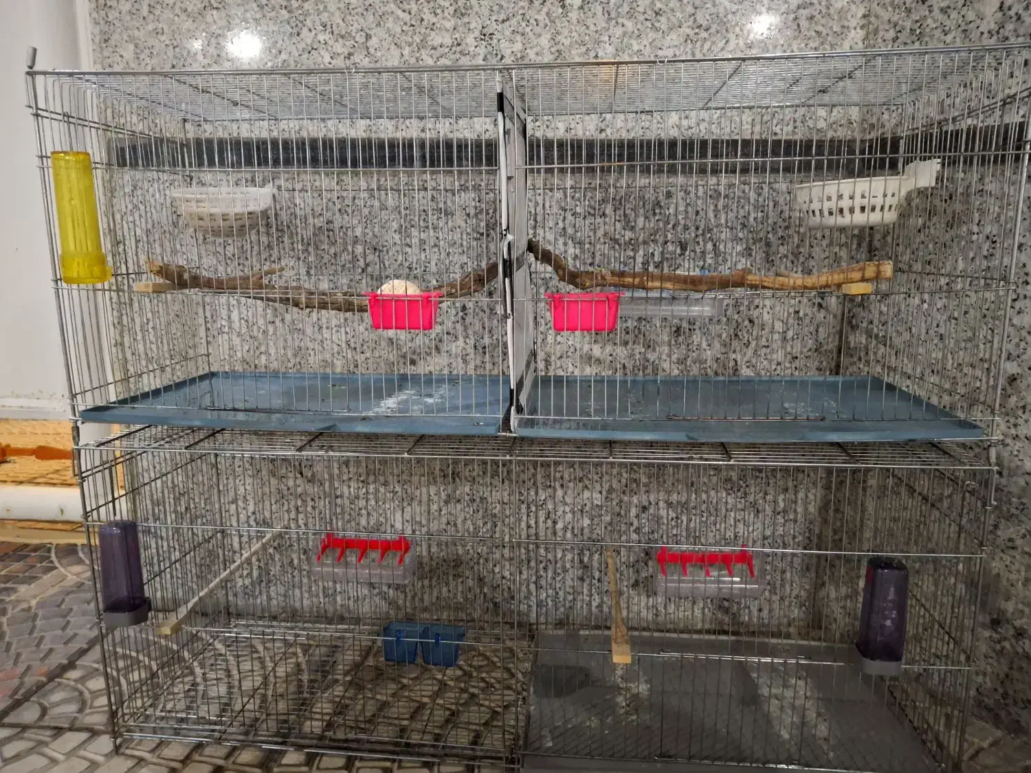 قفس جوجه پران|لوازم جانبی حیوانات|ارومیه, |دیوار