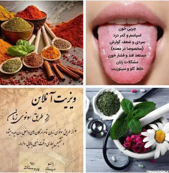 کسب درآمد با روش دورکاری و کاردر منزل|استخدام بازاریابی و فروش|شیراز, دانشگاه شیراز|دیوار