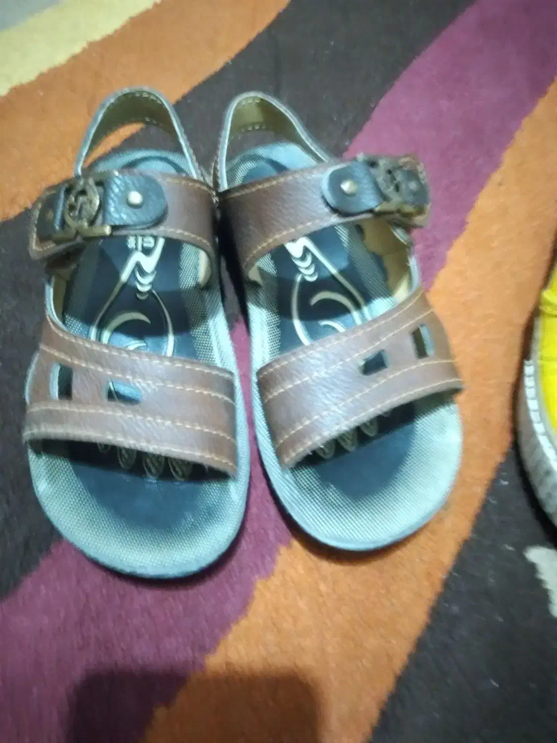 کفش|کیف، کفش، کمربند|کرمان, |دیوار