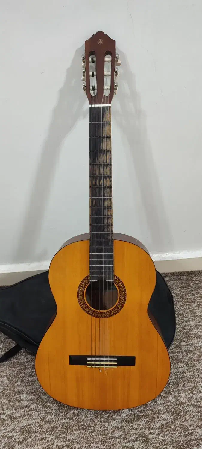 گیتار c315|گیتار، بیس، امپلیفایر|اهواز, سپیدار|دیوار