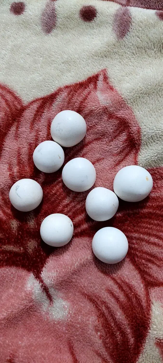 سنگ الماس اسیاب|جواهرات|شیراز, فرگاز|دیوار