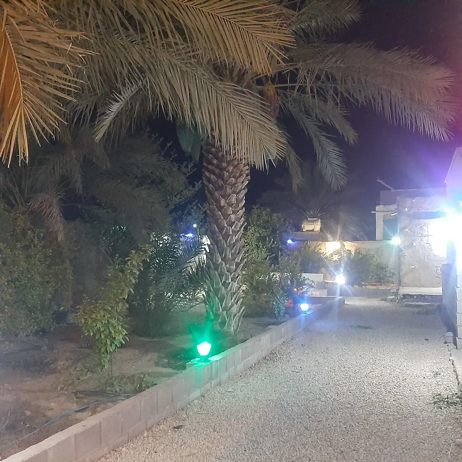 فروش خونه باغ لاور رزمی خورموج|فروش خانه و ویلا|خورموج, |دیوار