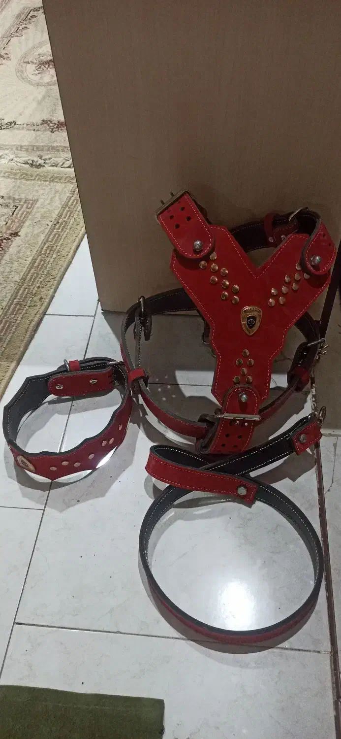 قلاده کتفی چرمی سگ،قلاده گردنی،معاوضه با گوشی،ظبط|لوازم جانبی حیوانات|نسیمشهر, |دیوار