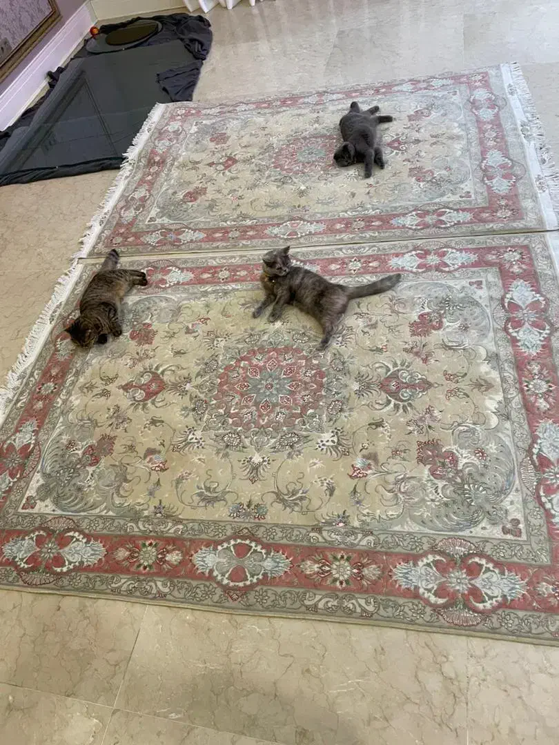 خریدار فرش های دستبافت تمام مناطق تهران فروش|فرش|تهران, اقدسیه|دیوار