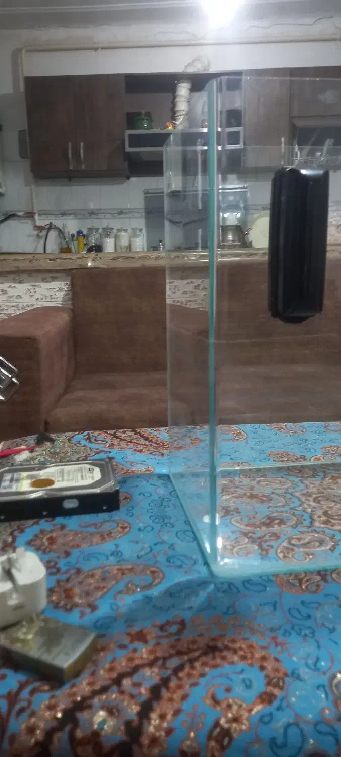 آکواریم ماهی درجه 1 ( شرکتی )|ماهی|رشت, حومه رشت|دیوار