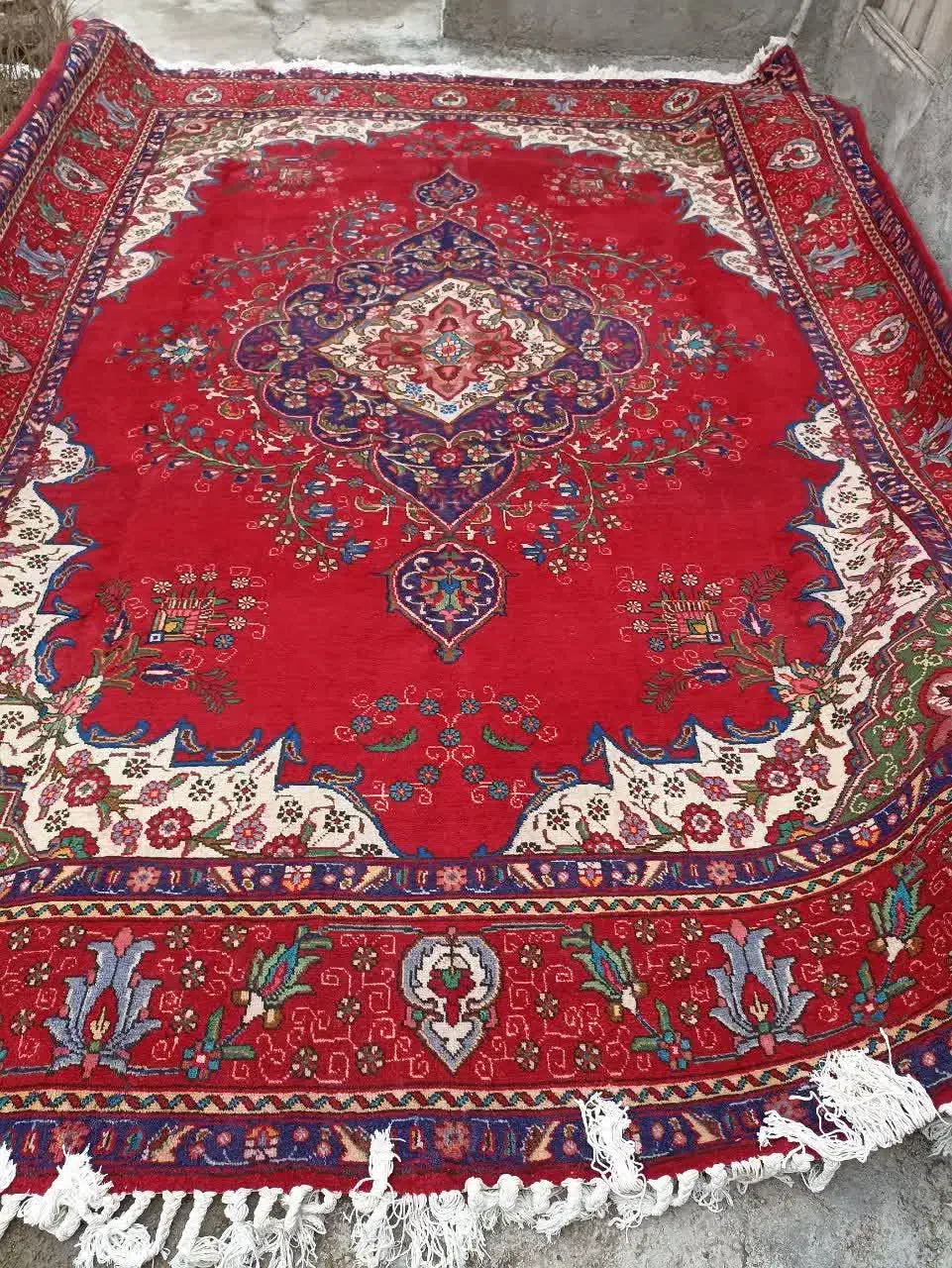 فرش دستباف ۱۲متری|فرش|مرند, |دیوار