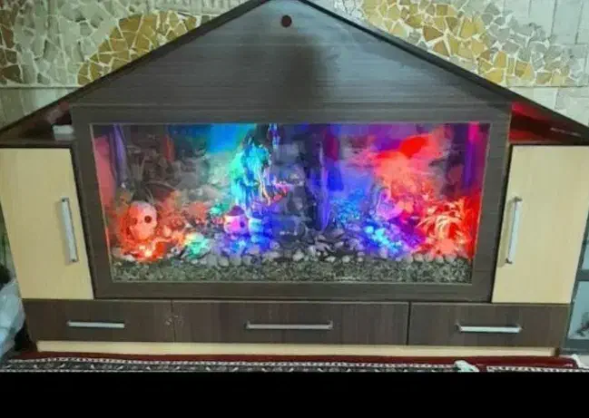 اکواریوم|ماهی|گلستان (تهران), |دیوار