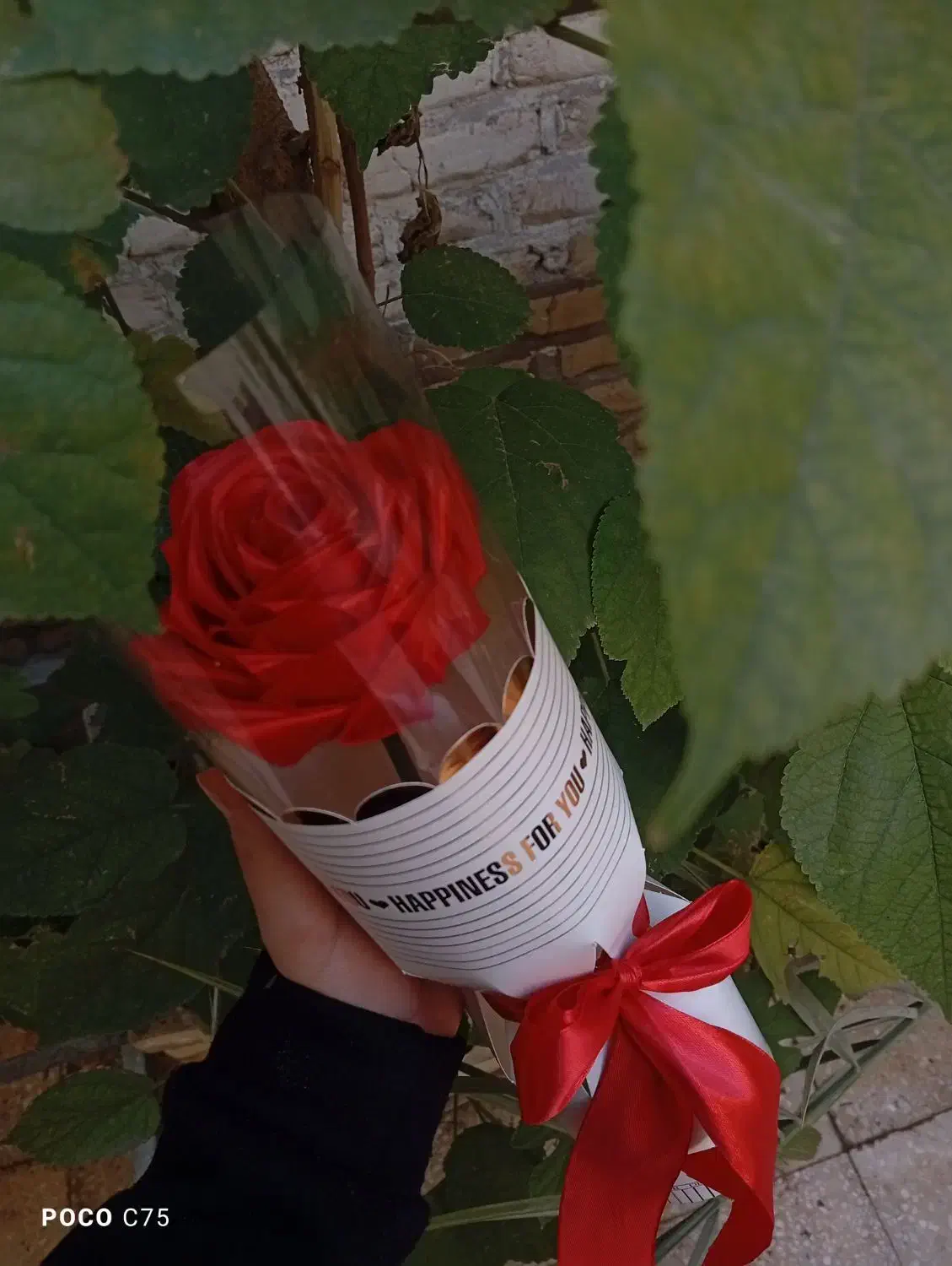 گل بوکتی|گل مصنوعی|اهواز, امانیه|دیوار