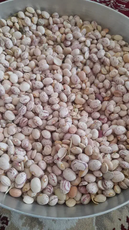 لوبیا چیتی|عمدهفروشی|پاسارگاد, |دیوار