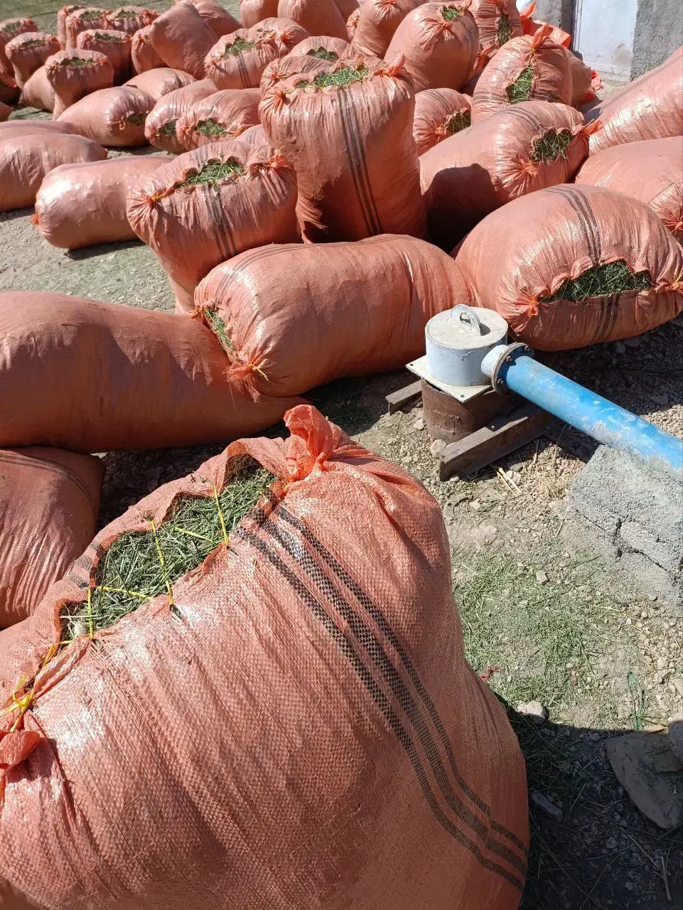 یونجه خوردشده تحویل دامداری|لوازم جانبی حیوانات|لار, |دیوار