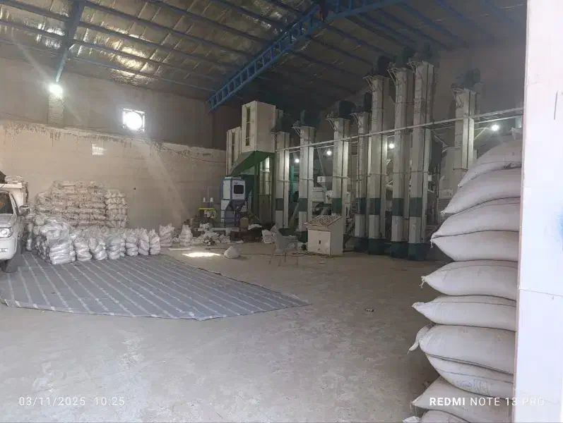 برنج عنبربو(اَلوان)|خوردنی و آشامیدنی|کوهدشت, |دیوار