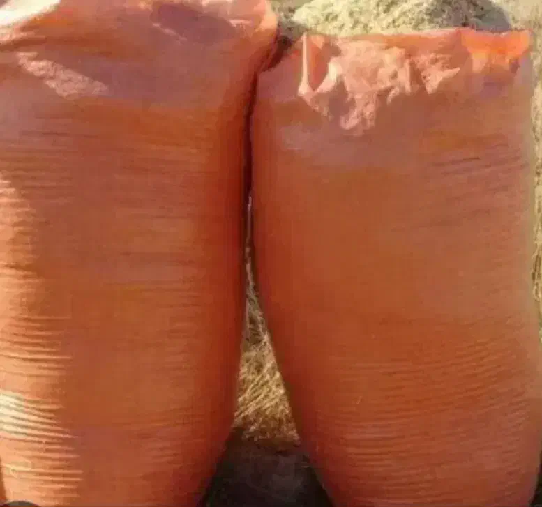 کاه خار شتری علف شوره. پیچک پخل ابی|عمده‌فروشی|تربت جام, میان جام|دیوار