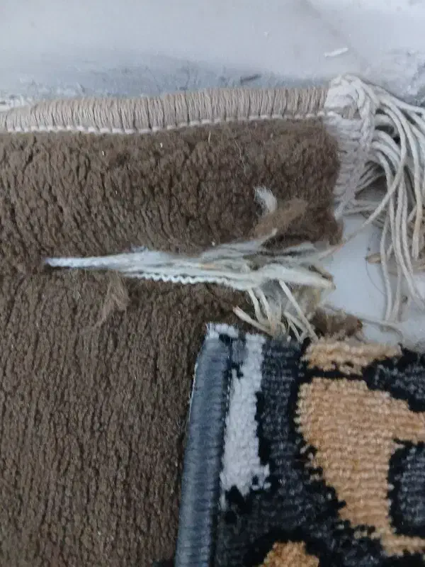 فرش|فرش|خرمشهر, |دیوار