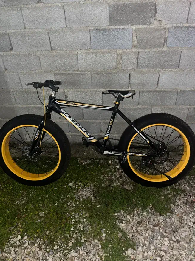 دورچرخه|دوچرخه، اسکیت، اسکوتر|ساری, |دیوار