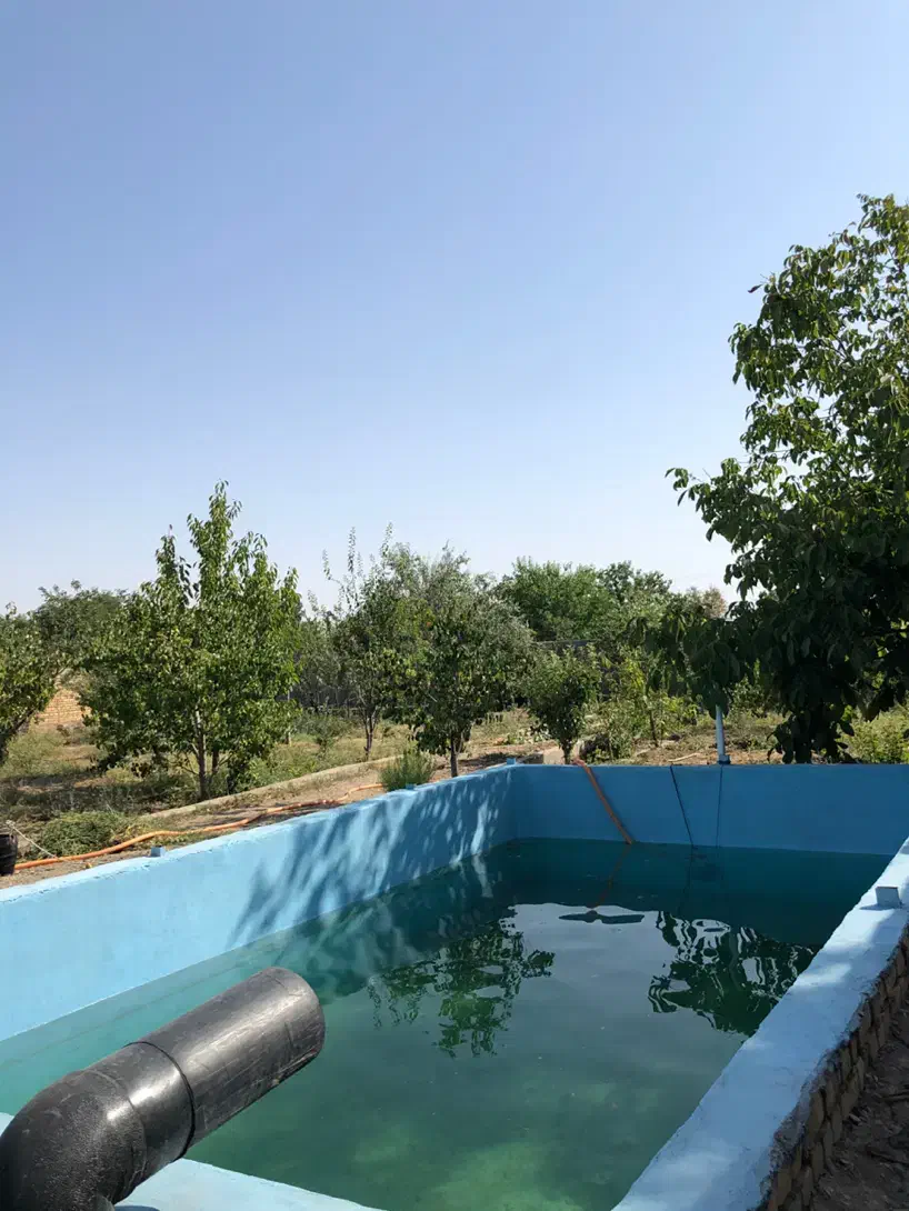 زمین (باغ)|فروش زمین و ملک کلنگی|مشهد, امام رضا (ع)|دیوار