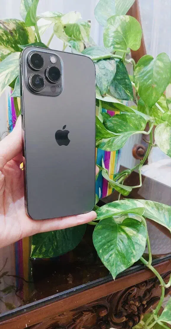 پرومکس ۱۳|موبایل|فومن, |دیوار