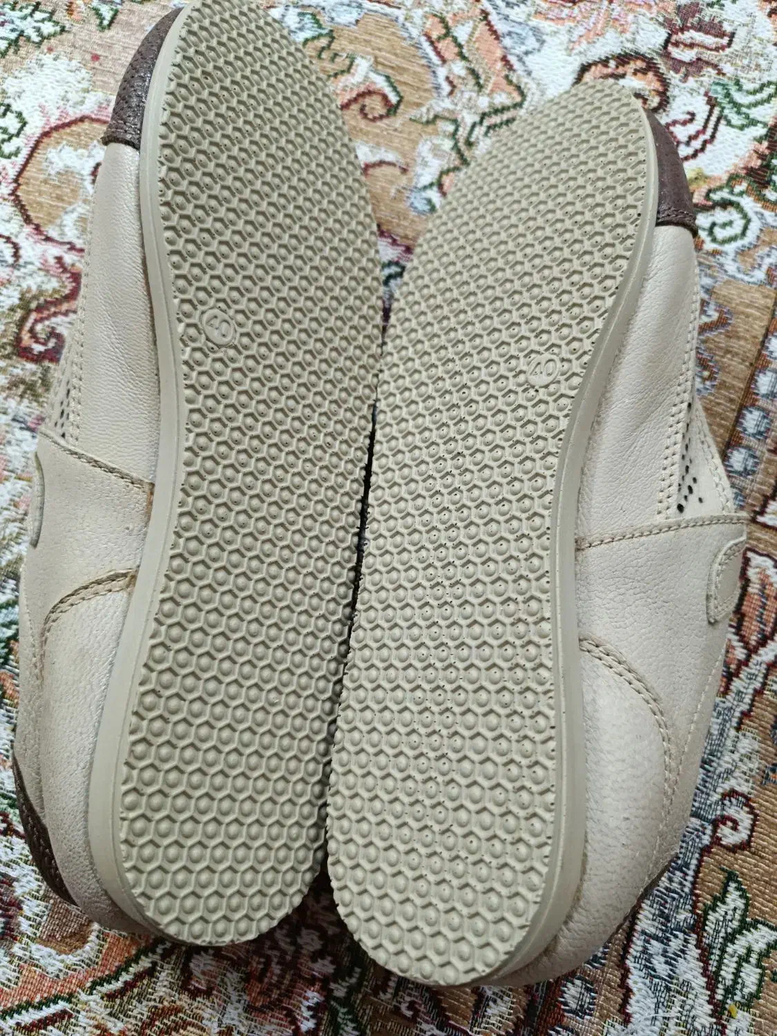 کفش نو|کیف، کفش، کمربند|گلبهار, شهر جدید گلبهار|دیوار