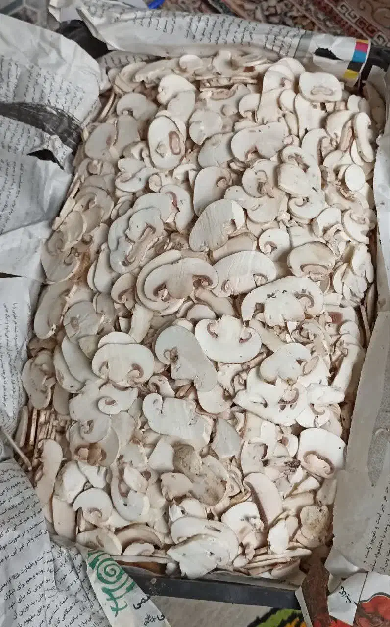 قارچ درجه دو و اسلایس قارچ|خوردنی و آشامیدنی|اصفهان, ابر|دیوار