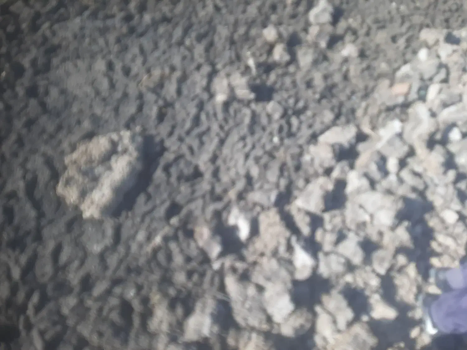 کود مرغی. تتمگذار|خدمات باغبانی و درختکاری|دورود, |دیوار