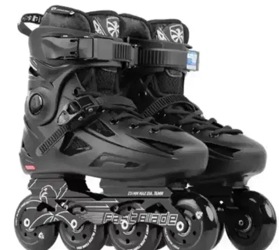 اسکیت|دوچرخه، اسکیت، اسکوتر|قم, زنبیل آباد|دیوار