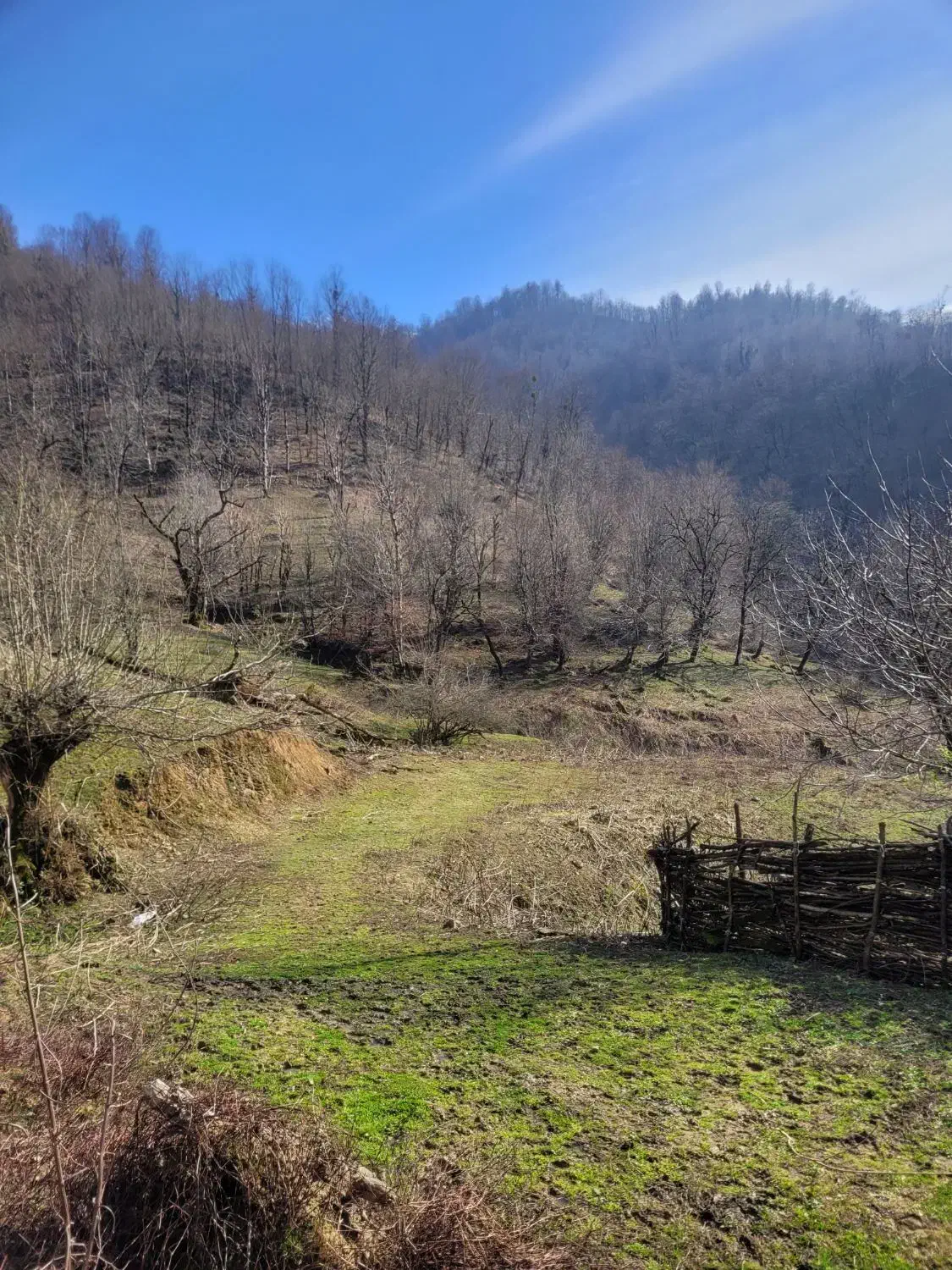 زمین ب متراژ ۴۷۰۰ ویو ابدی|فروش زمین و ملک کلنگی|توتکابن, |دیوار