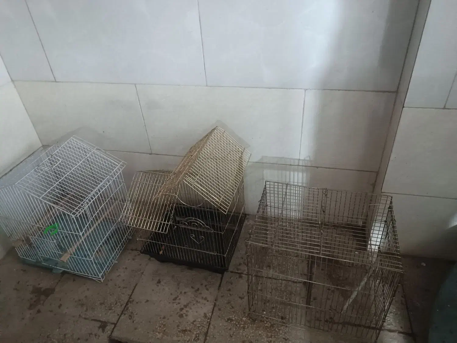 قفس پرنده|لوازم جانبی حیوانات|یزد, |دیوار