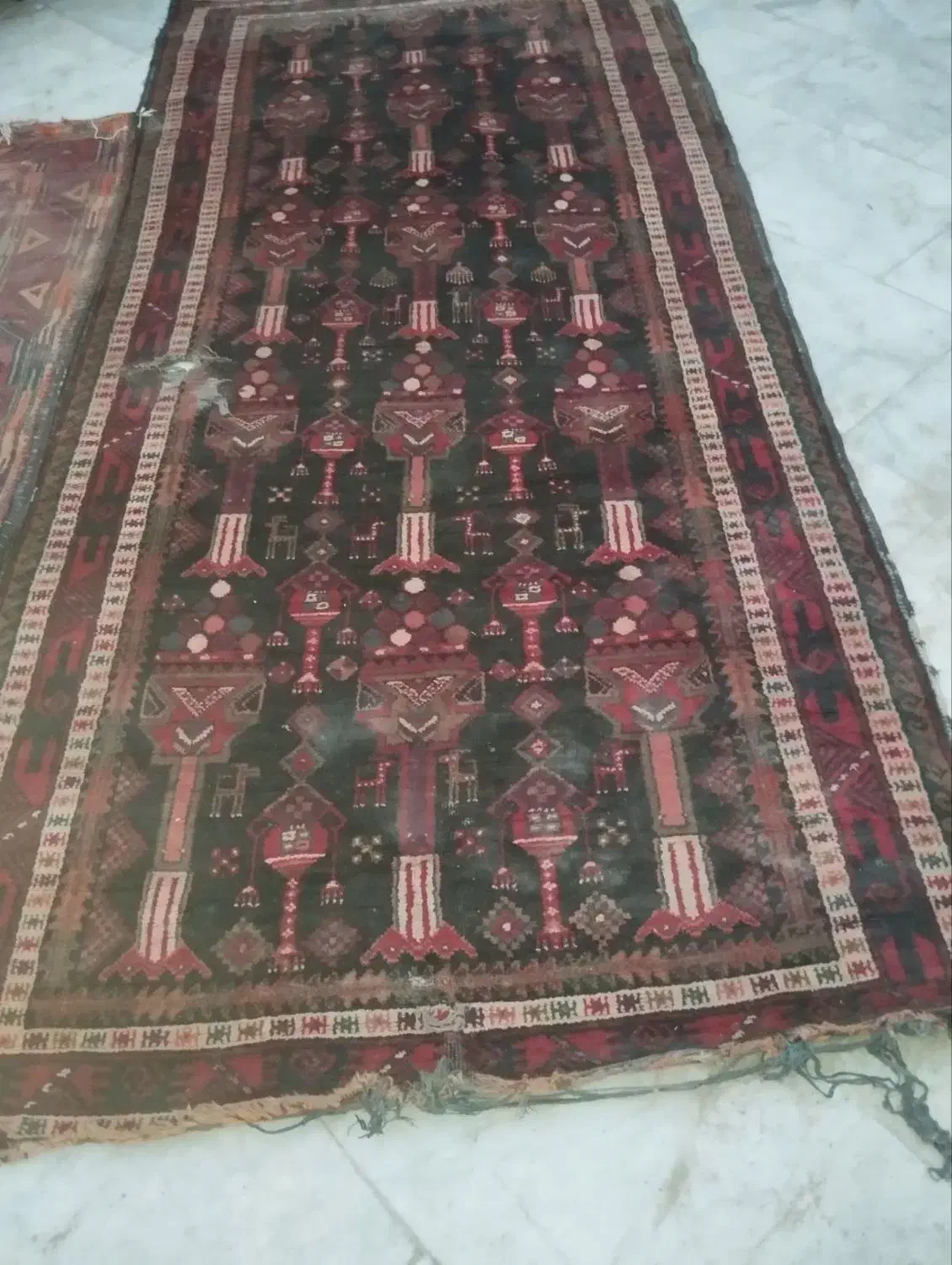 دو تا فرش یکی نیاز به درست کردن داره|فرش|زاهدان, |دیوار