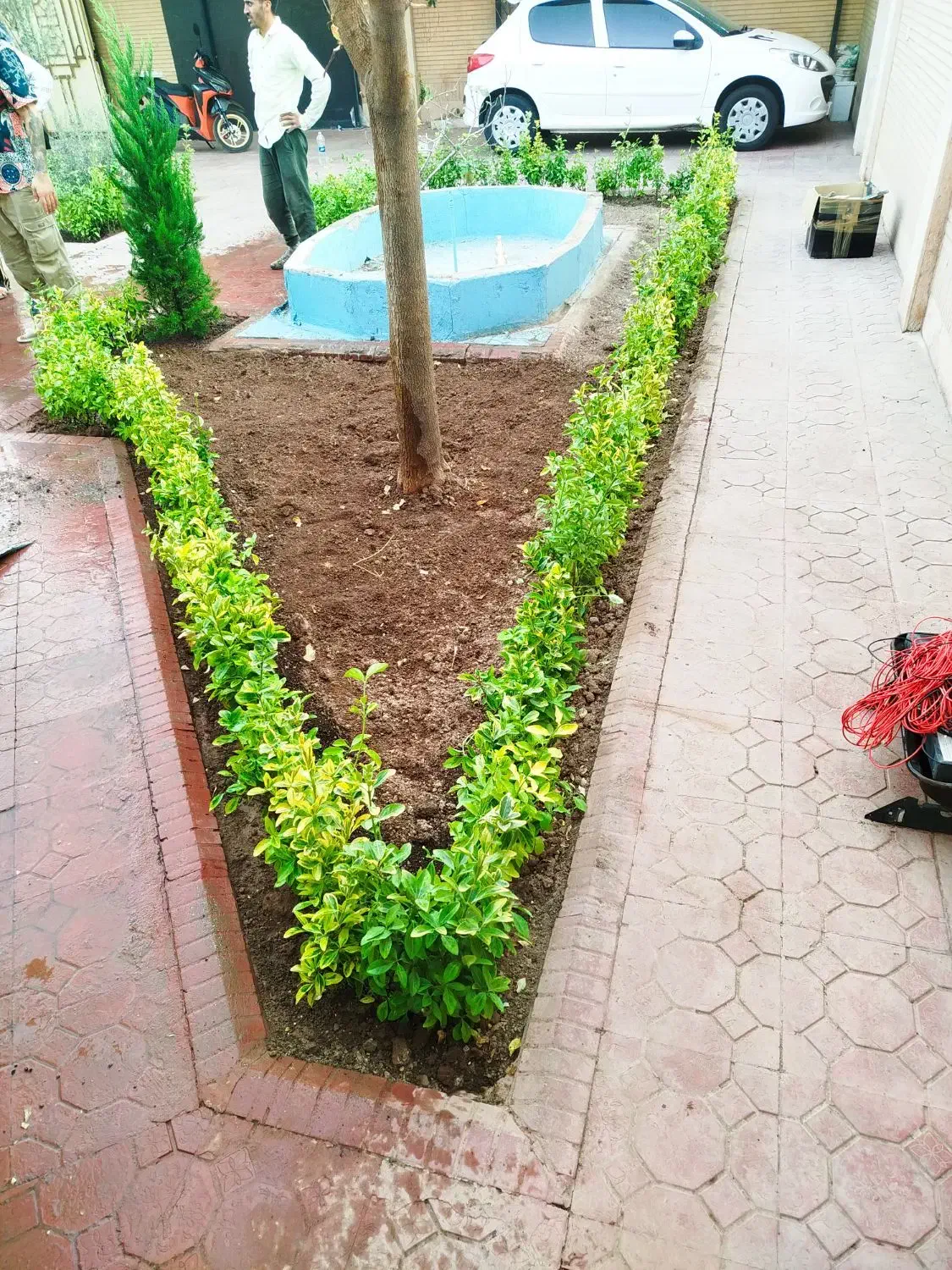 خدمات باغبانی تمام نقاط تهران گل کاری هرس خاکگلدان|خدمات باغبانی و درختکاری|تهران, نیروی هوایی (پیروزی)|دیوار