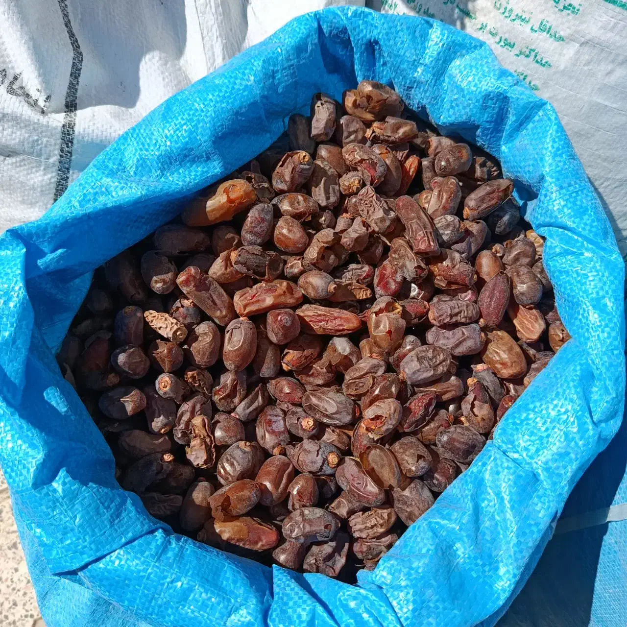 فروش ضایعات خرما|عمدهفروشی|ارزوئیه, |دیوار