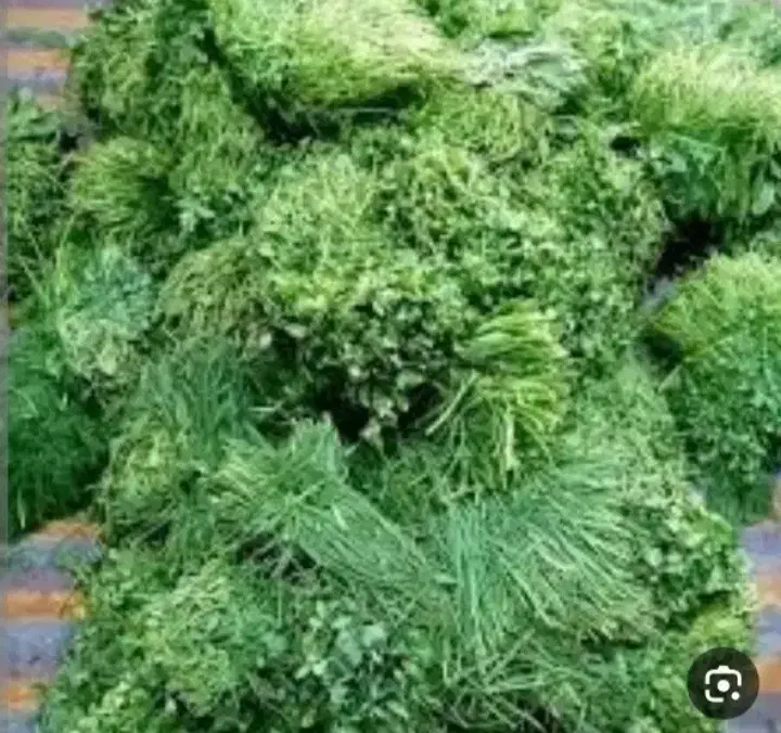 سبزی خورشتی ،وخوردنی|خوردنی و آشامیدنی|خرم‌آباد, |دیوار