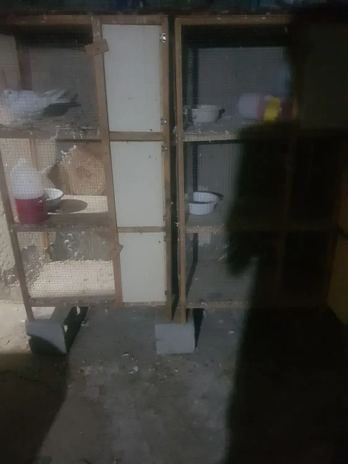 جفت کن با تمام وسیله|لوازم جانبی حیوانات|بندرعباس, |دیوار