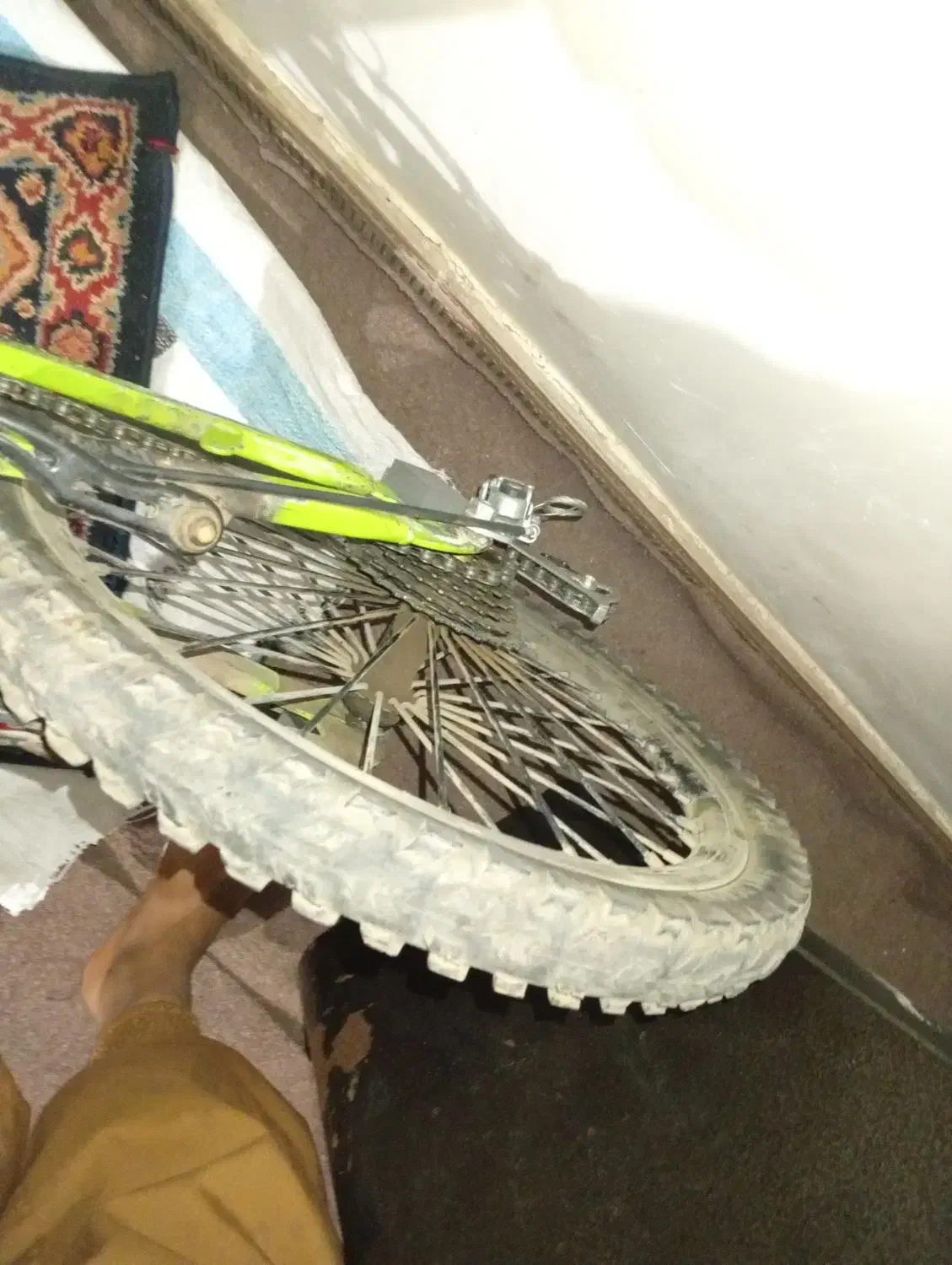 دوچرخه۲۰|دوچرخه، اسکیت، اسکوتر|گنبد کاووس, |دیوار