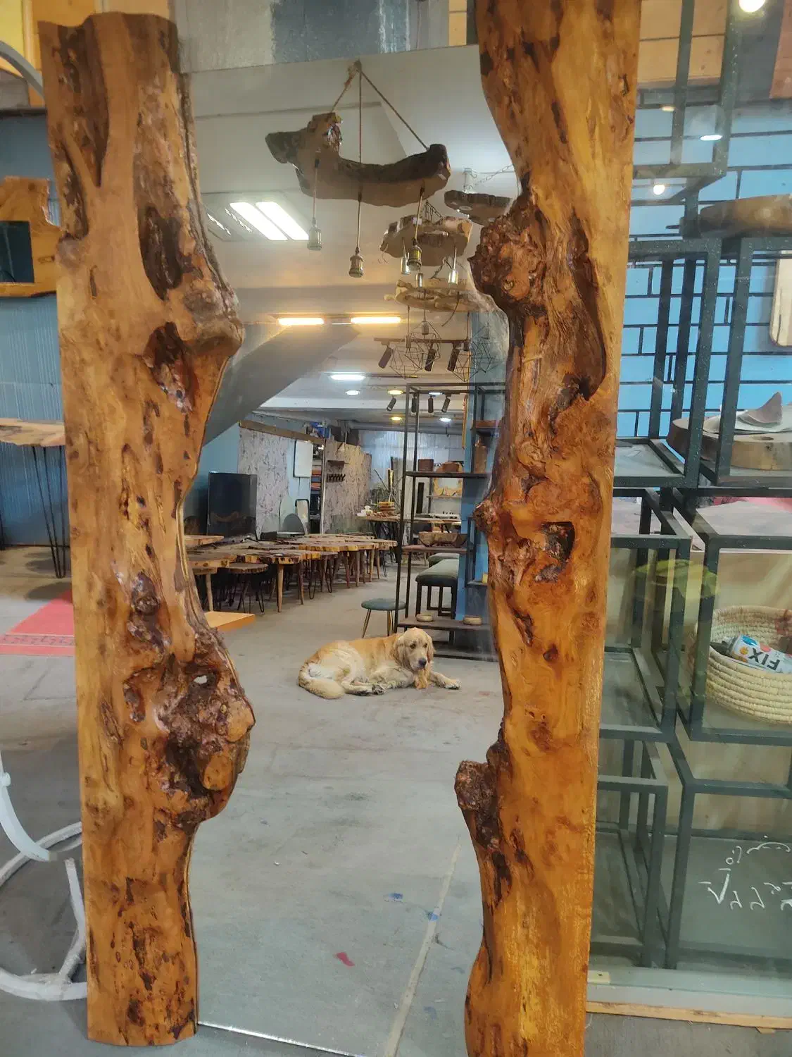 به یک منشی خانم جهت فروشندگی  صنایع چوبی|استخدام بازاریابی و فروش|ساری, |دیوار