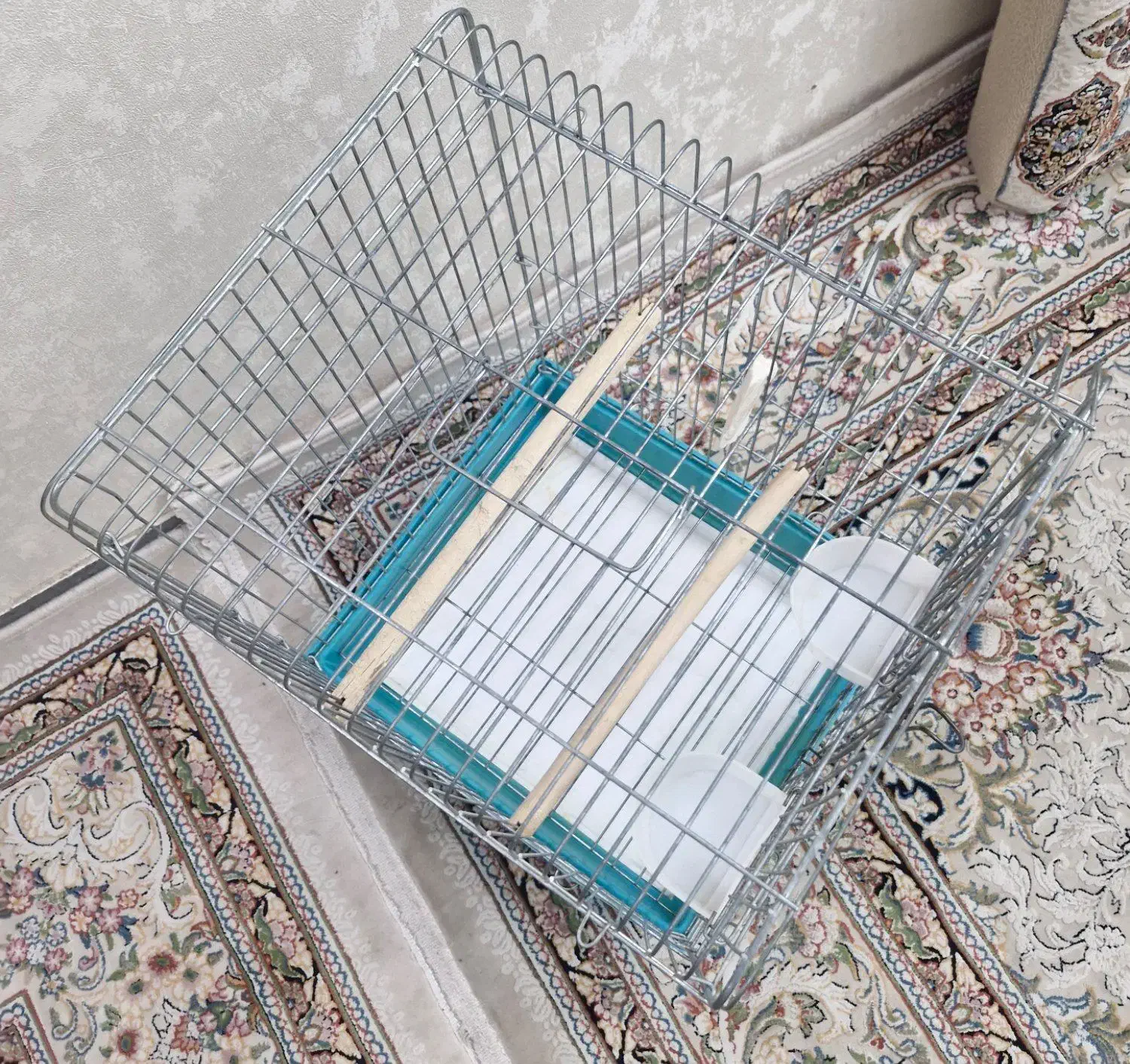 قفس پرنده|لوازم جانبی حیوانات|قرچک, مهدیه|دیوار