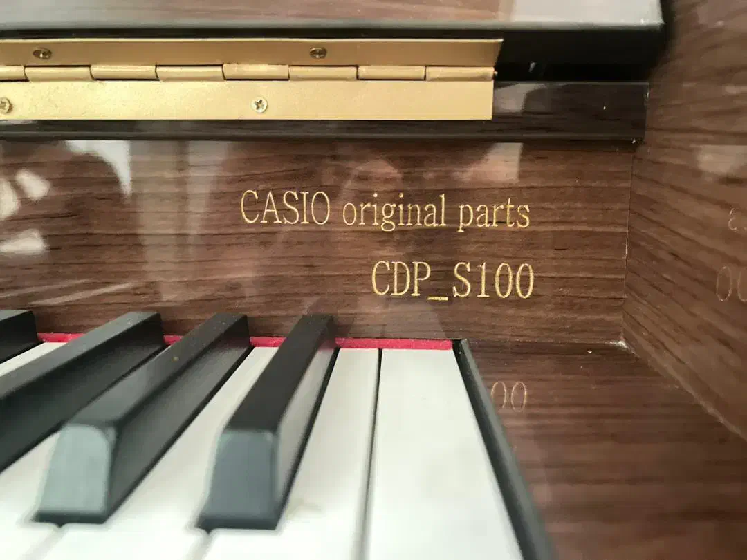 پیانو طرح آکوستیک کاسیو|پیانو، کیبورد، آکاردئون|تبریز, |دیوار