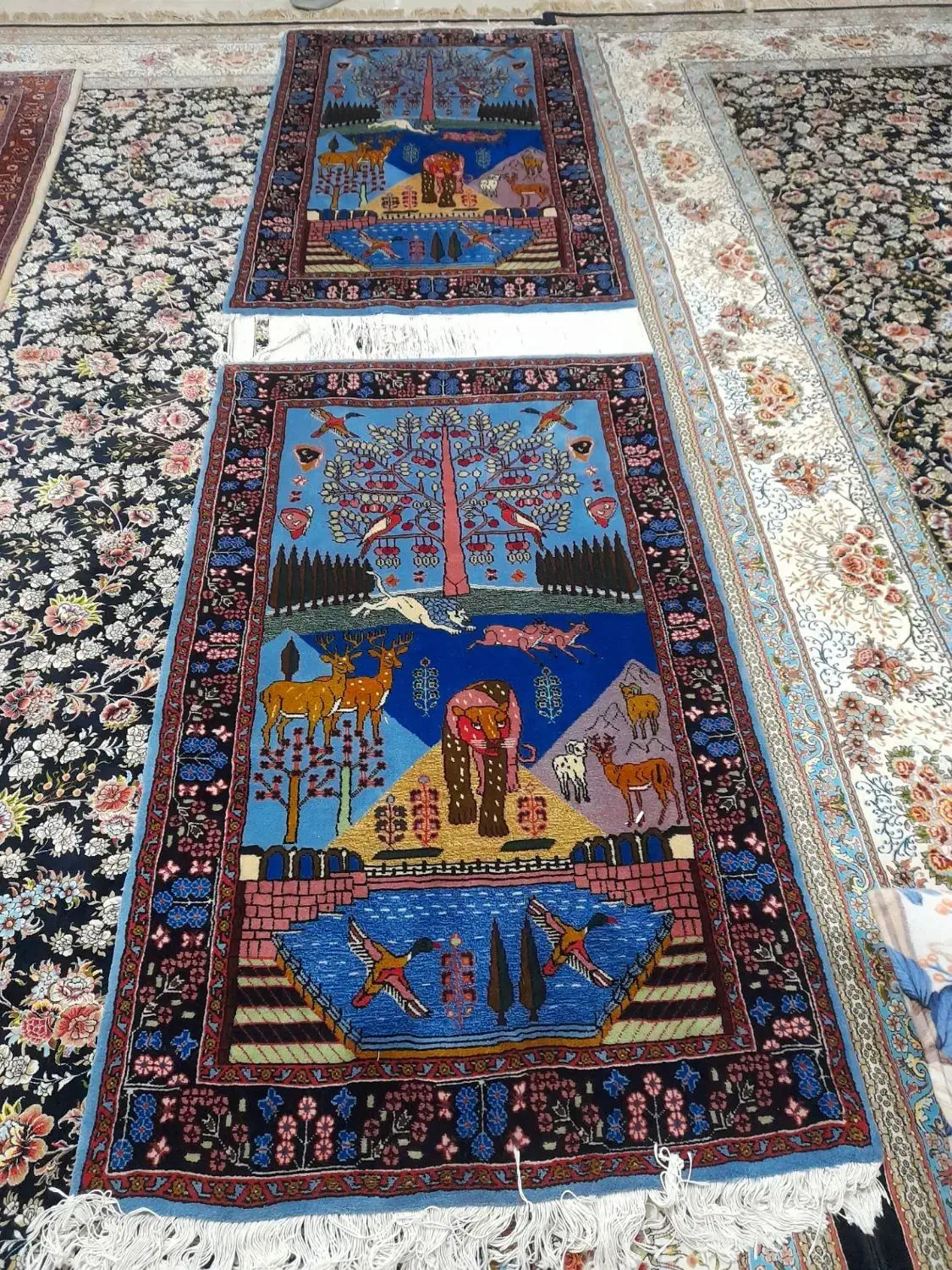 فرش دستباف نو|فرش|اردبیل, |دیوار