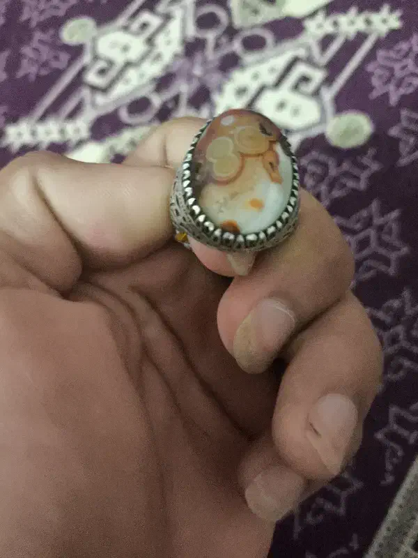 سنگ|کلکسیون اشیاء عتیقه|بوشهر, |دیوار