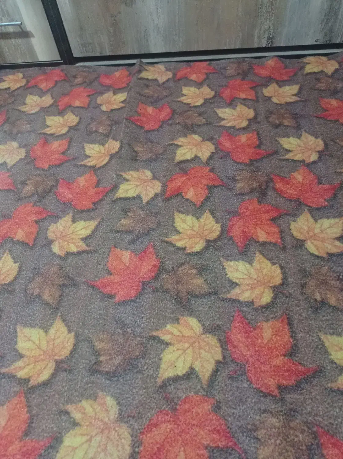 موکت|موکت|پرند, فاز ۴|دیوار