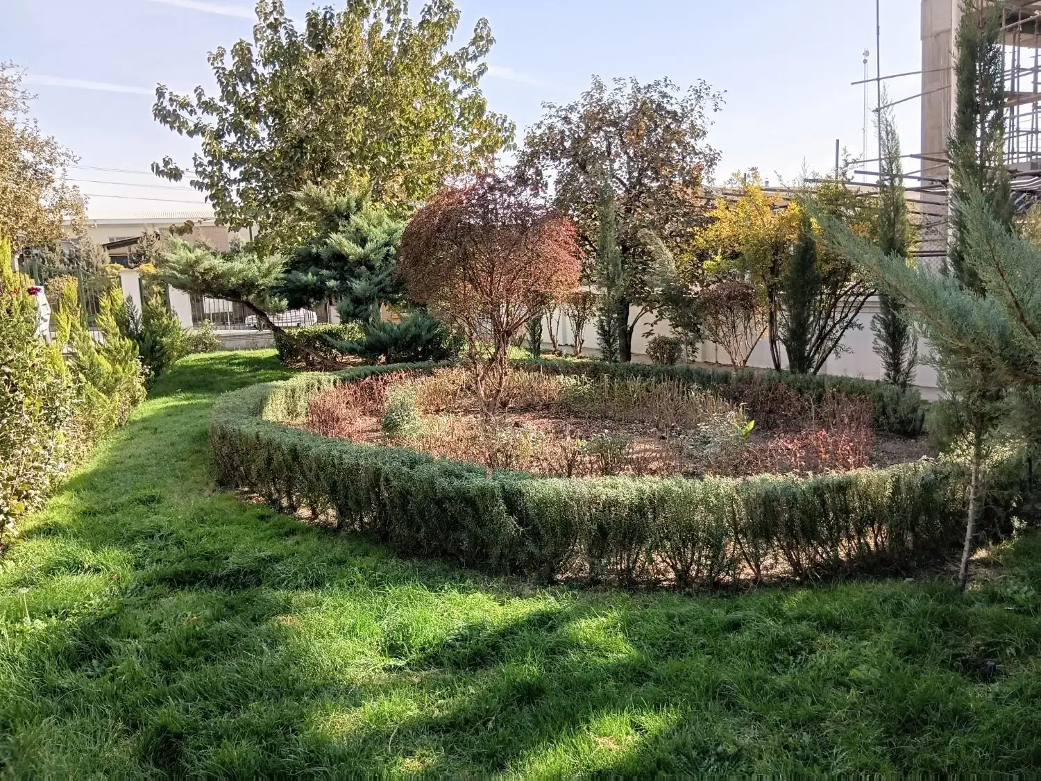 انجام کارهای فضای سبزوباغبانی|خدمات باغبانی و درختکاری|هشتگرد, هشتگرد قدیم|دیوار